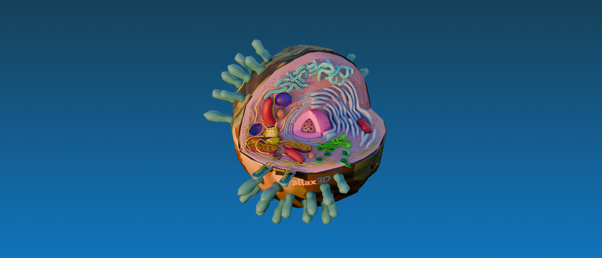 Biology