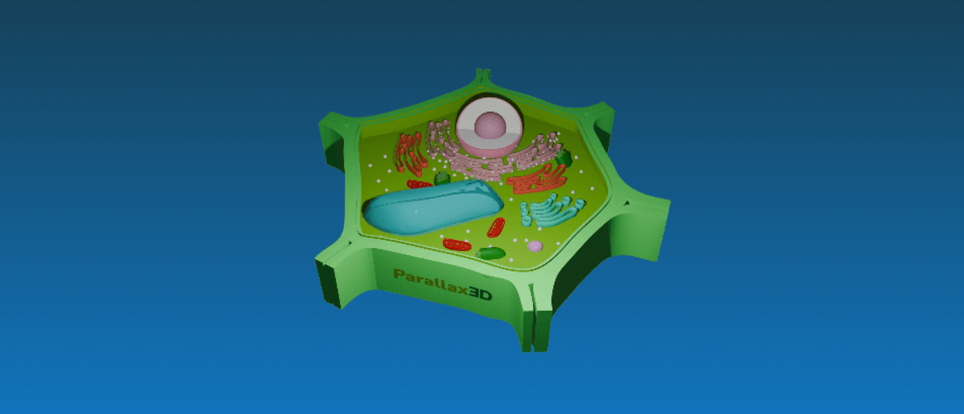Plant Cell